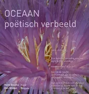 Omslag van Oceaan