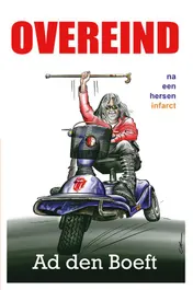 Omslag van Overeind na een herseninfarct