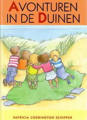 Omslag van Avonturen in de duinen