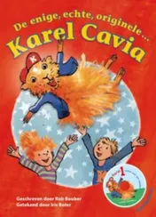 Omslag van De enige, echte, originele Karel Cavia