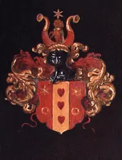 Omslag van IV-20 Brieven en album-inscripties van Bernardus Schotanus (1598–1652) ; Catalogus epistolarum Bernardi Schotani ; Bernardus Schotanus (1598-1652), bibliografie III