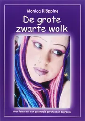 Omslag van De grote zwarte wolk