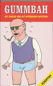 Omslag van Het geheim van het verdwenen mysterie
