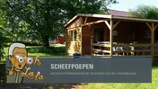 Omslag van Scheefpoepen