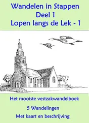 Omslag van Wandelen in stappen
