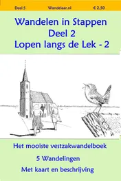 Omslag van Wandelen instappen