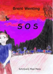 Omslag van SOS