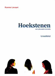 Omslag van Hoekstenen