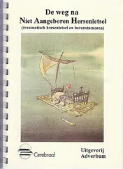 Omslag van De weg na niet aangeboren hersenletsel