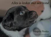Omslag van Alles is leuker met een hond