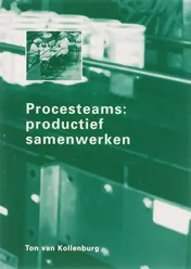 Omslag van Procesteams: productief samenwerken