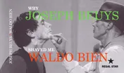Omslag van Why Joseph Beuys shaved me Waldo Bien