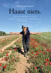 Omslag van Haast niets.