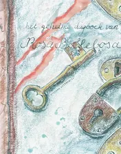 Omslag van Het geheime dagboek van Rosa Bollebosa