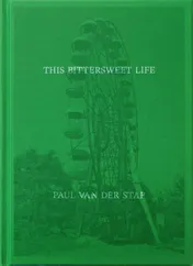 Omslag van This Bittersweet Life