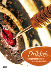 Omslag van Prikkels