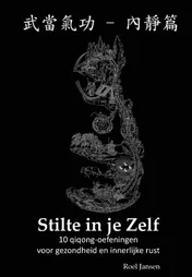 Omslag van Stilte in je Zelf