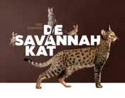 Omslag van De Savannah kat