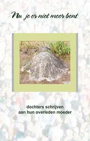 Omslag van Nu je er niet meer bent
