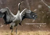 Omslag van Ongevouwen kraanvogels