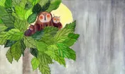 Omslag van Het Nest