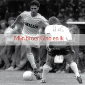 Omslag van Mijn broer Gino en ik
