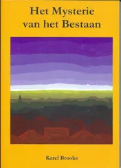 Omslag van Het Mysterie van het Bestaan