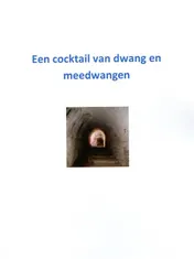 Omslag van Een cocktail van dwang en meedwangen