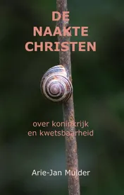 Omslag van De naakte christen