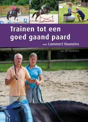 Omslag van Trainen tot een goed gaand paard