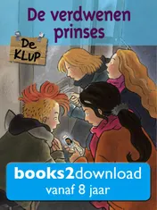 Omslag van De verdwenen prinses