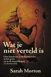 Omslag van Wat je niet verteld is...