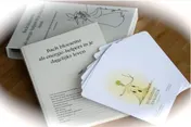 Omslag van Bach Bloesems als energie-helpers in je dagelijks leven