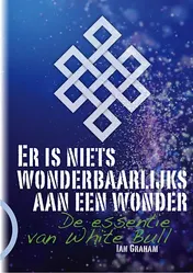 Omslag van Er is niets wonderbaarlijks aan een wonder