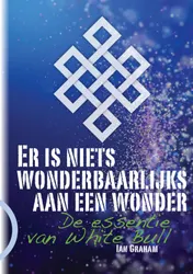 Omslag van Er is niets wonderbaarlijks aan een wonder