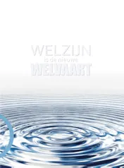 Omslag van Welzijn is de nieuwe welvaart