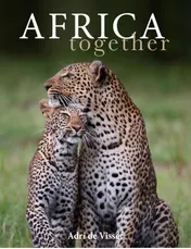 Omslag van Africa together