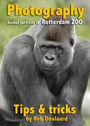 Omslag van Photography: animal portraits in the ZOO