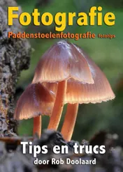 Omslag van Fotografie: paddenstoelenfotografie fototips