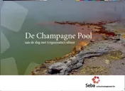 Omslag van De Champagne Pool