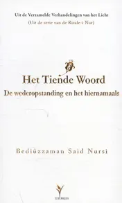 Omslag van Het tiende woord