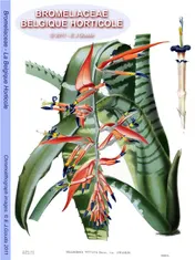 Omslag van Bromeliaceae