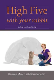 Omslag van High five with your rabbit