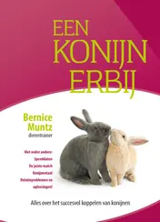 Omslag van Een konijn erbij