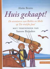 Omslag van Huis gekaapt!
