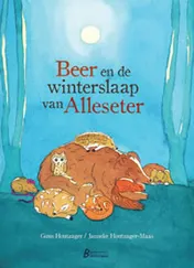 Omslag van Beer en de winterslaap van Alleseter