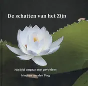 Omslag van De schatten van het zijn