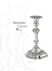 Omslag van Duurzame glans