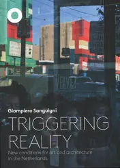 Omslag van Triggering reality