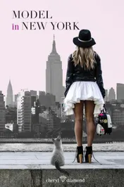 Omslag van Model in New York